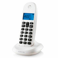 Kabelloses Telefon Motorola C1001