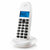 Kabelloses Telefon Motorola C1001