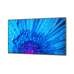 Videowall-Monitor NEC M431 4K Ultra HD 43" 240 Hz 60 Hz