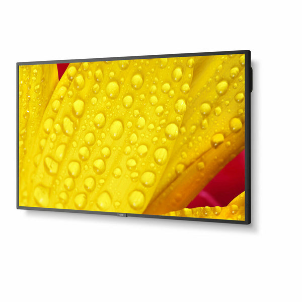 Videowall-Monitor NEC 60005062 LED 4K Ultra HD 65" 64"