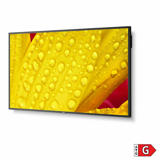 Videowall-Monitor NEC 60005062 LED 4K Ultra HD 65" 64"