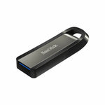 Pendrive   SanDisk Extreme Go         Stahl 256 GB (1 Stück)