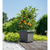 Blumentopf Garden ID Anthrazit karriert Steineffekt 40 x 35 cm