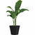 Blumentopf Garden ID Schwarz 40 x 34 cm