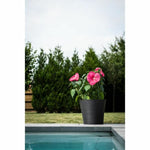 Blumentopf Garden ID Schwarz 40 x 34 cm