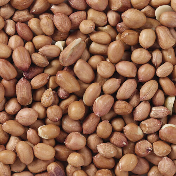 Vogelfutter Deli Nature Premium 1 kg