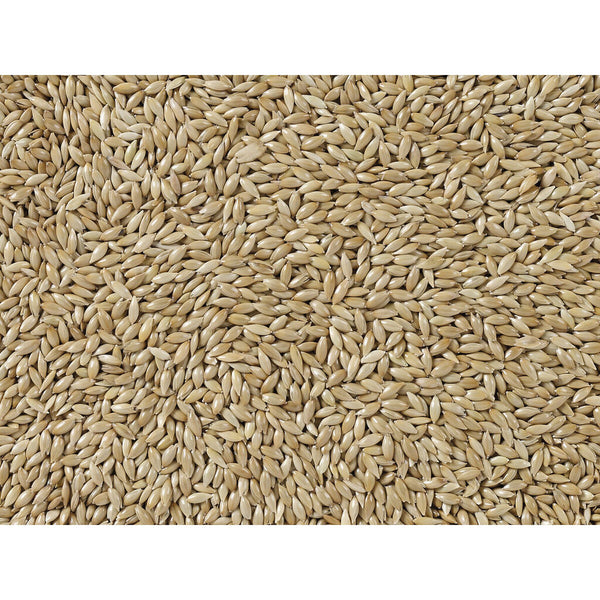 Vogelfutter Deli Nature Premium 5 kg