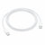 Kabel USB C Apple MM093ZM/A 1 m Weiß