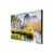 Fernseher Samsung LH025IEACLS/EN
