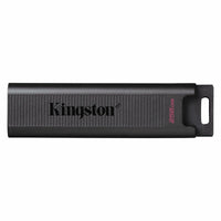USB Pendrive Kingston DTMAX/256GB Schwarz 256 GB (1 Stück)