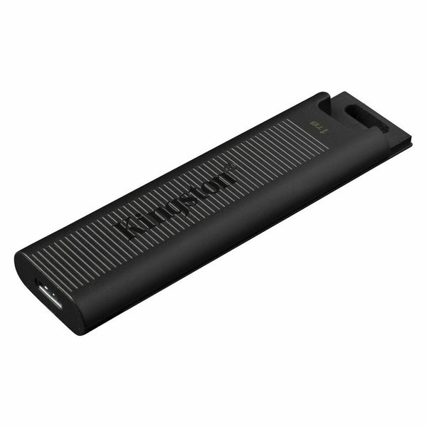 USB Pendrive Kingston DTMAX/1TB Schwarz 1 TB