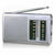 AM/FM-Radio Haeger PR-BIB.001A Grau