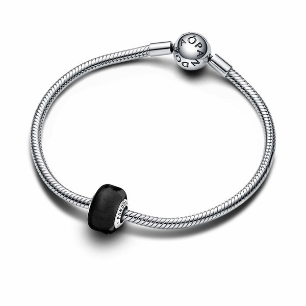 Charms für Damen Pandora 793117C00