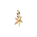 Damenperlen Pandora 763628C01 Gold