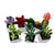 Konstruktionsspiel Lego Succulent 10309 771 Stücke Bunt