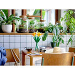 Konstruktionsspiel Lego Botanical Collection 40747 Daffodils Bunt 216 Stücke