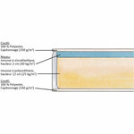 Viskoelastische Matratze DORMIPUR