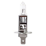 Glühbirne M-Tech Z901 H1 70W 24v