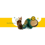 Katzenfutter 3COTY Huhn 80 g