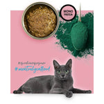 Katzenfutter 3COTY Truthahn 80 g