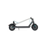 Elektroroller Motus Scooty 8.5 Schwarz türkis 350 W