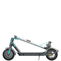 Elektroroller Motus Scooty 10" Lite Kupfer 350 W