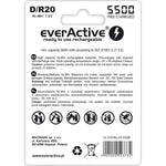 Wiederaufladbare Batterie EverActive EVHRL20-5500 5000 mAh 1,2 V (2 Stück)