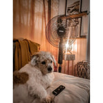 Freistehender Ventilator N'oveen F455 Schwarz 55 W