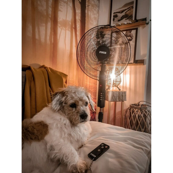 Freistehender Ventilator N'oveen F455 Schwarz 55 W