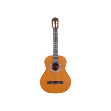 Gitarre Arrow L2050026