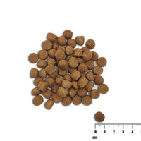 Futter VETEXPERT                                 Lachsfarben 10 kg