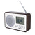 Radio Camry AD1153 Bunt