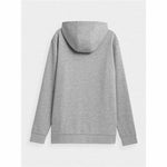 Herren Sweater mit Kapuze 4F