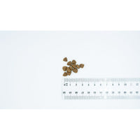 Futter Bult Ente 3 Kg