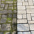 Fenstersauger Frischer FR00241_5000