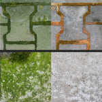 Fenstersauger Frischer FR00241_5000