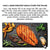 Futter Paka Zwierzaka Salmon with Baltic fish M Lachsfarben 9 kg