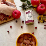 Nassfutter Ollo