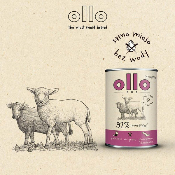 Nassfutter Ollo Lamm
