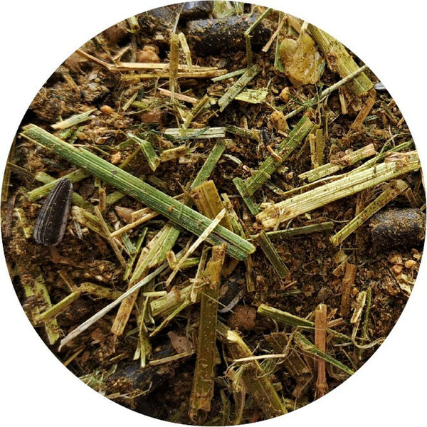 Nahrungsergänzungsmittel und Vitamine Biofeed Horse&Pony
