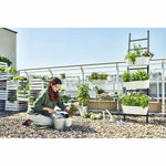 Werkzeugsatz für den Garten Cellfast Kuchen Metall Edelstahl (3 Stück)