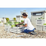 Werkzeugsatz für den Garten Cellfast Kuchen Metall Edelstahl (3 Stück)