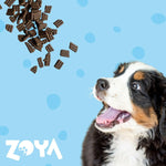 Futter Zoya Ente 9 kg