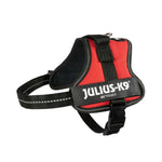 Hundegeschirr Julius K9 Power Rot S