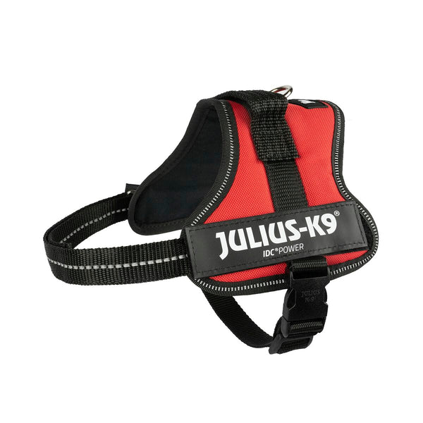 Hundegeschirr Julius K9 Power Rot S