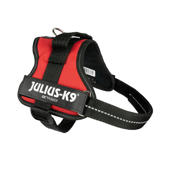 Hundegeschirr Julius K9 Power Rot M