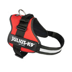 Hundegeschirr Julius K9 Power Rot L/XL 2