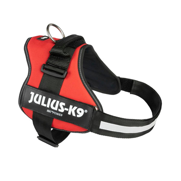 Hundegeschirr Julius K9 Power Rot L/XL 2