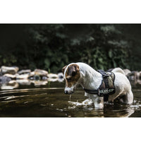 Hundegeschirr Julius K9 Power L/XL 2