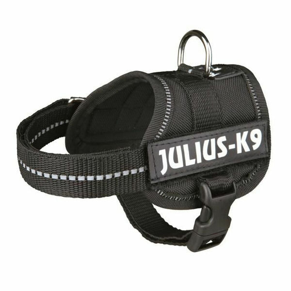 Hundegeschirr Julius K9 Power Schwarz 1 Baby 1 (XS)